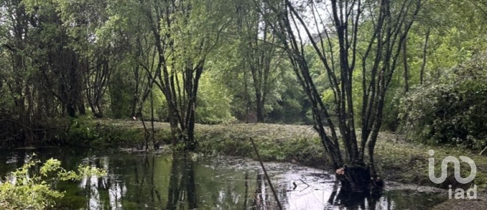 Quinta T4 em Crasto, Ruivos e Grovelas de 341 m²