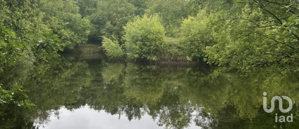 Quinta T4 em Crasto, Ruivos e Grovelas de 341 m²