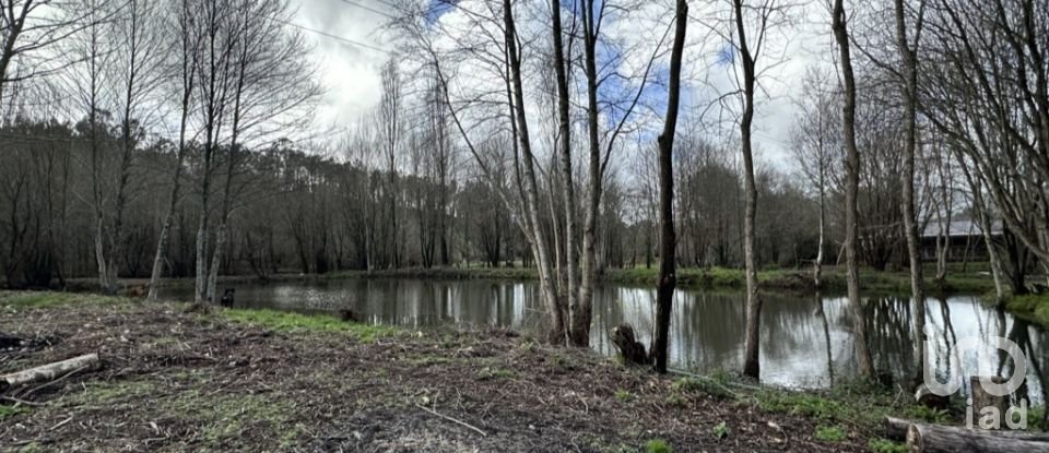 Quinta T4 em Crasto, Ruivos e Grovelas de 341 m²