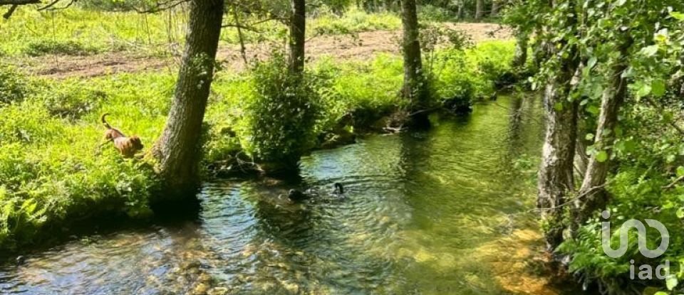 Quinta T4 em Crasto, Ruivos e Grovelas de 341 m²