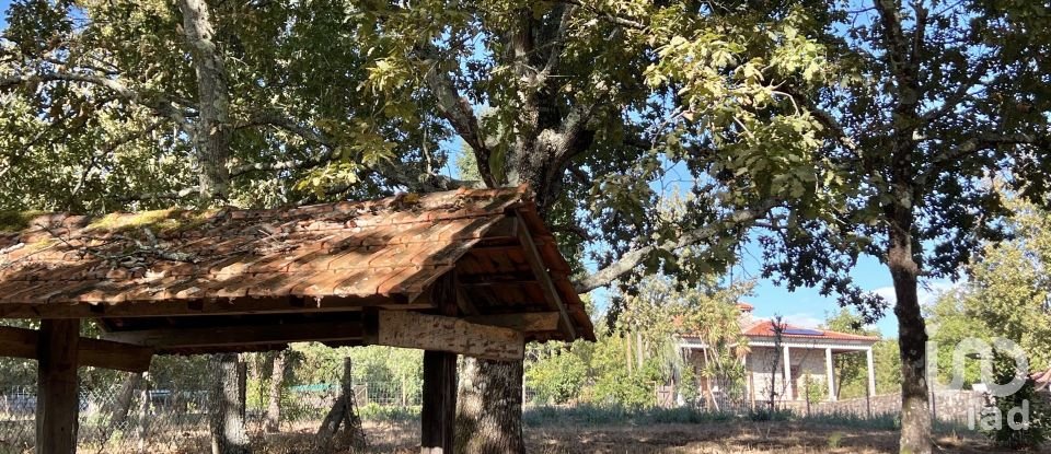 Quinta T4 em Crasto, Ruivos e Grovelas de 341 m²