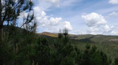 Terrain à Cortes do Meio de 49 048 m²