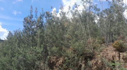 Terrain à Cortes do Meio de 49 048 m²