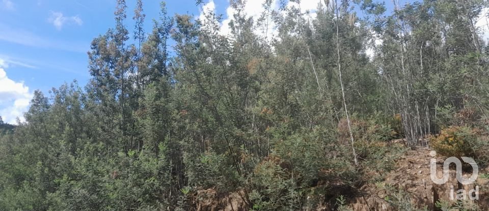 Terrain à Cortes do Meio de 49 048 m²