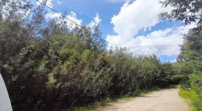 Terrain à Cortes do Meio de 49 048 m²