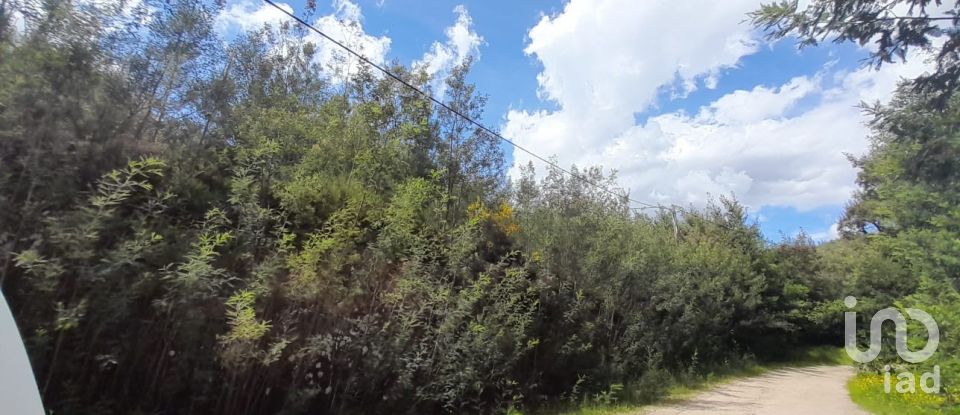 Terrain à Cortes do Meio de 49 048 m²