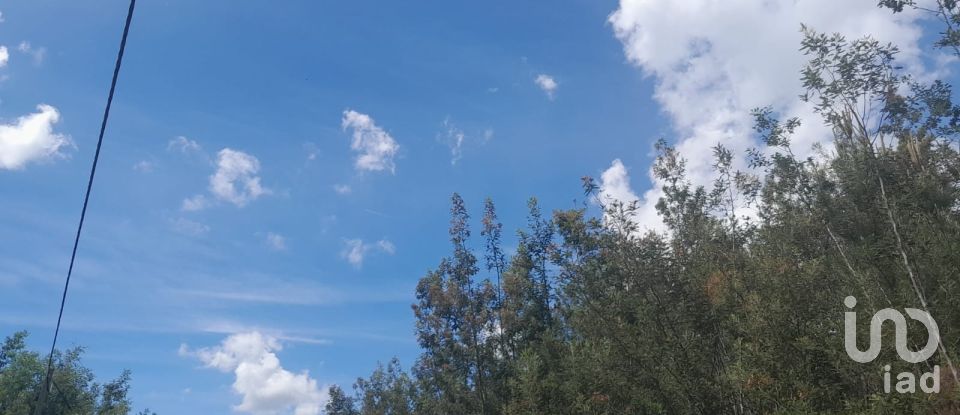 Terrain à Cortes do Meio de 49 048 m²