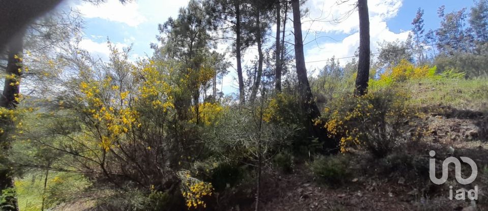 Terrain à Cortes do Meio de 49 048 m²