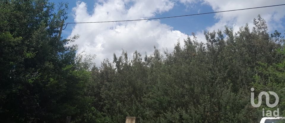 Terrain à Cortes do Meio de 49 048 m²