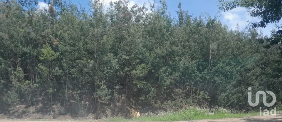 Terrain à Cortes do Meio de 49 048 m²