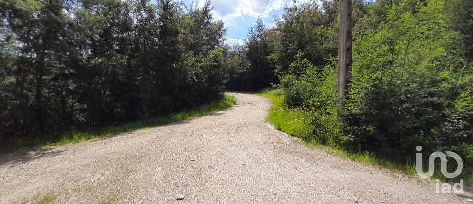 Terrain à Cortes do Meio de 49 048 m²