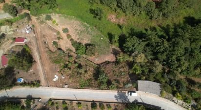 Terrain à Santo isidoro e livração de 2 100 m²