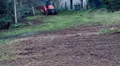 Terrain à Santo isidoro e livração de 2 100 m²