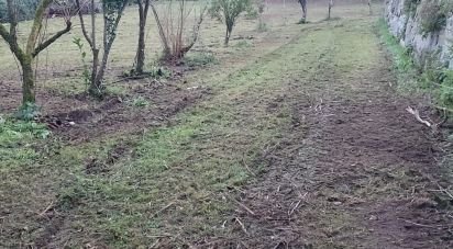 Terrain à Santo isidoro e livração de 2 100 m²