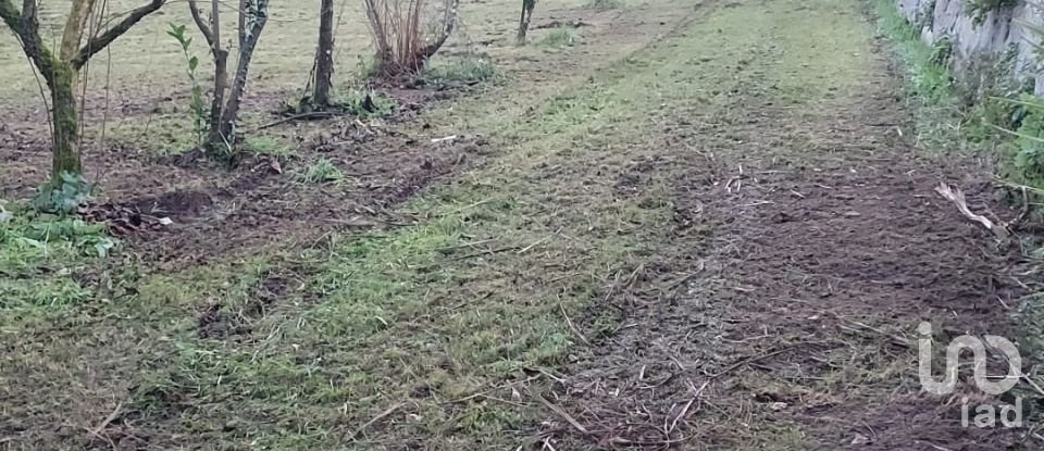 Terreno em Santo isidoro e livração de 2 100 m²