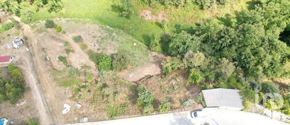 Terreno em Santo isidoro e livração de 2 100 m²