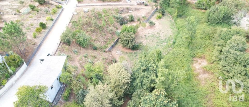 Terreno em Santo isidoro e livração de 2 100 m²