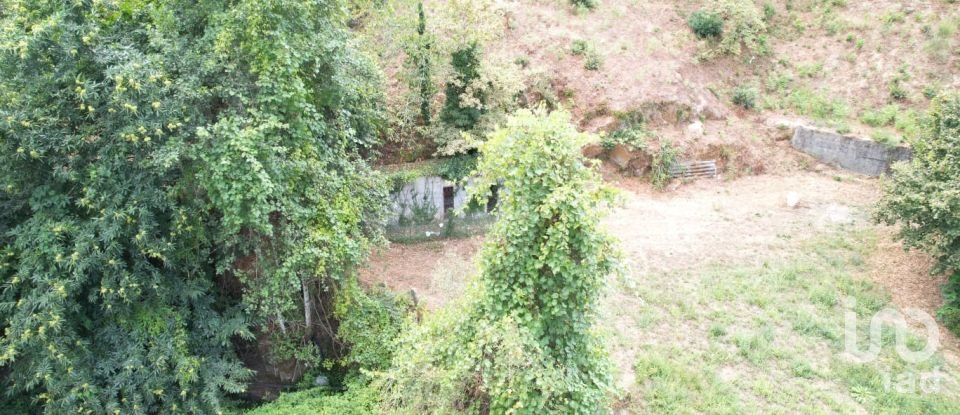 Terreno em Santo isidoro e livração de 2 100 m²
