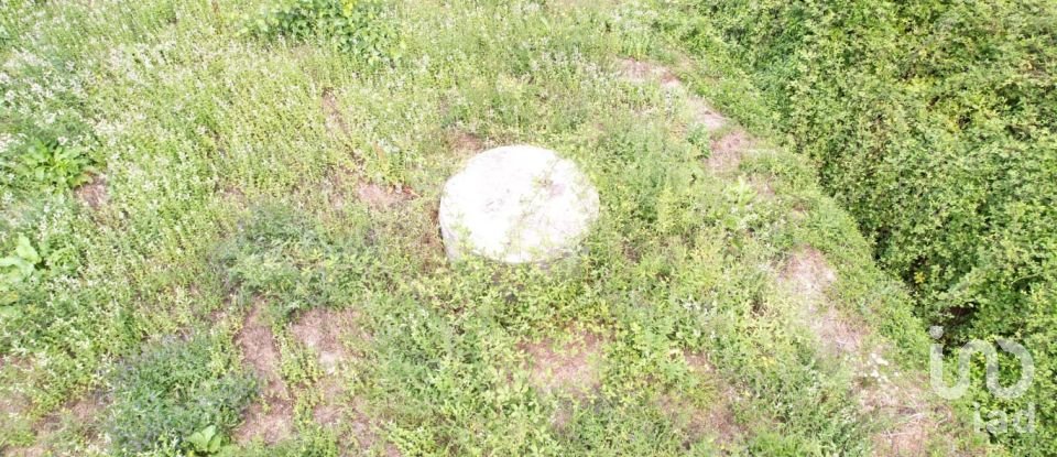 Terreno em Santo isidoro e livração de 2 100 m²