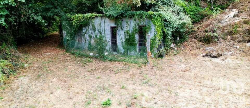 Terreno em Santo isidoro e livração de 2 100 m²