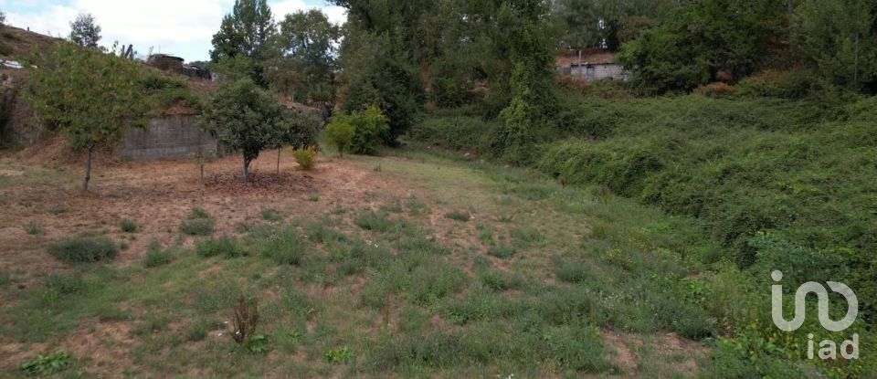 Terreno em Santo isidoro e livração de 2 100 m²