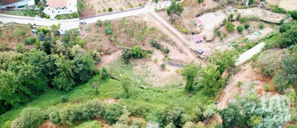 Terreno em Santo isidoro e livração de 2 100 m²