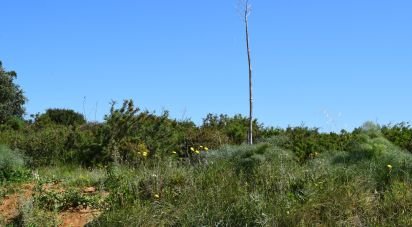 Terrain agricole à Carnota de 48 790 m²