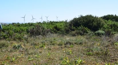 Terrain agricole à Carnota de 48 790 m²