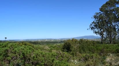 Terrain agricole à Carnota de 48 790 m²