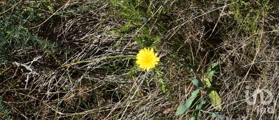 Terrain agricole à Carnota de 48 790 m²