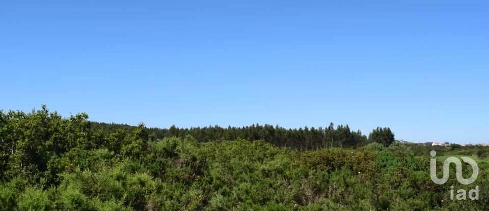 Terrain agricole à Carnota de 48 790 m²