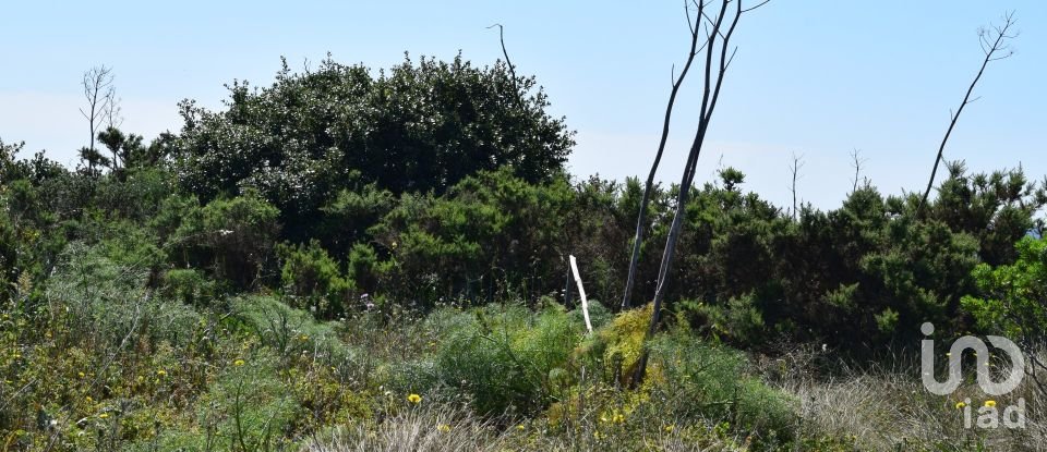 Terrain agricole à Carnota de 48 790 m²
