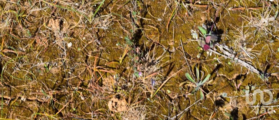 Terrain agricole à Carnota de 48 790 m²