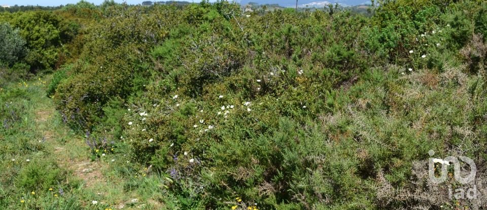 Terrain agricole à Carnota de 48 790 m²