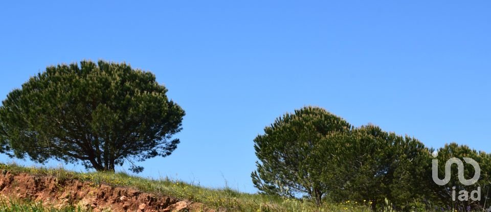 Terrain agricole à Carnota de 48 790 m²