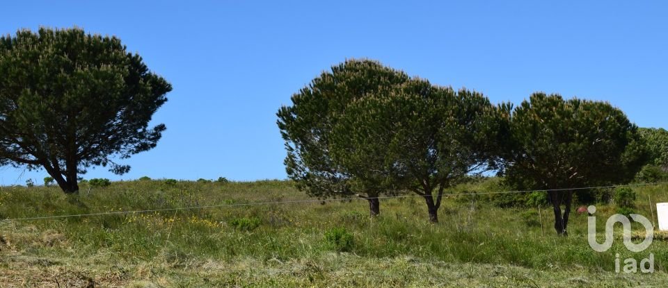 Terrain agricole à Carnota de 48 790 m²