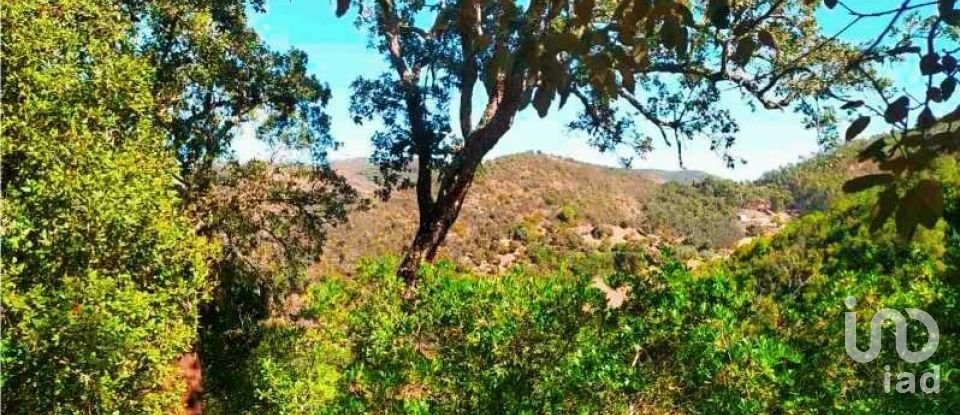 Terrain à Marmelete de 40 400 m²