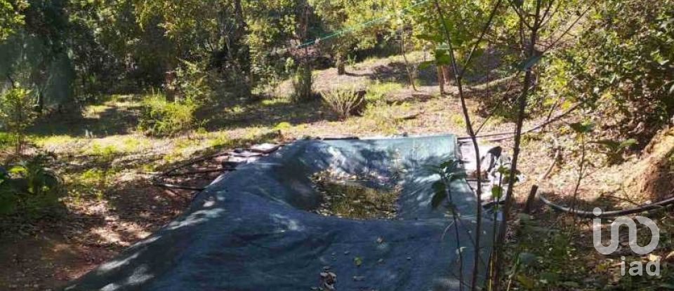 Terrain à Marmelete de 40 400 m²