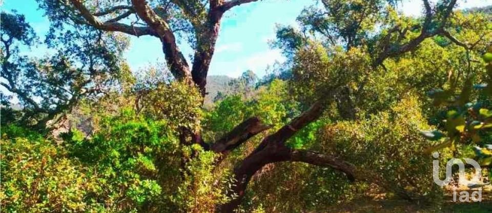 Terrain à Marmelete de 40 400 m²