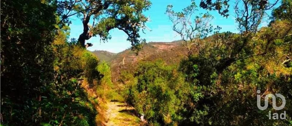 Terrain à Marmelete de 40 400 m²