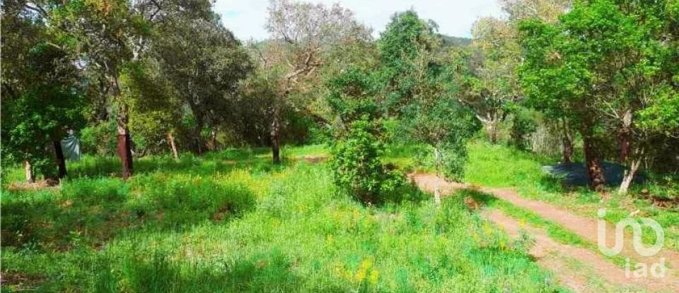 Terrain à Marmelete de 40 400 m²