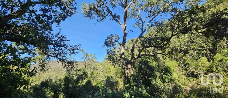 Terrain à Marmelete de 40 400 m²