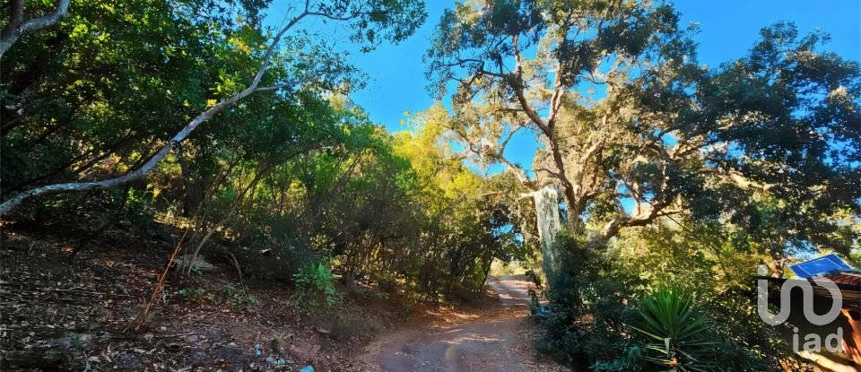 Terrain à Marmelete de 40 400 m²