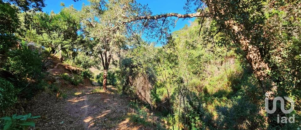 Terrain à Marmelete de 40 400 m²