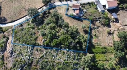 Terrain à Ansião de 3 460 m²