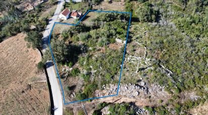 Terrain à Ansião de 3 460 m²