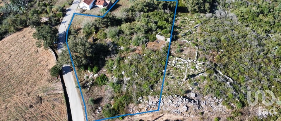 Land in Ansião of 3,460 m²