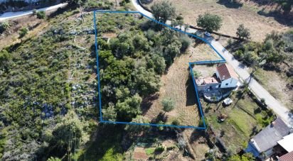 Terrain à Ansião de 3 460 m²