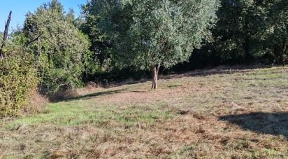 Terrain à Ansião de 3 460 m²