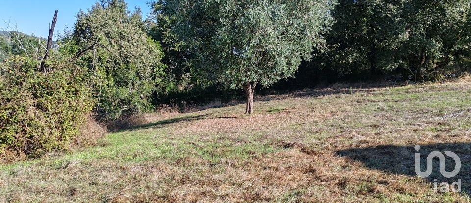 Land in Ansião of 3,460 m²